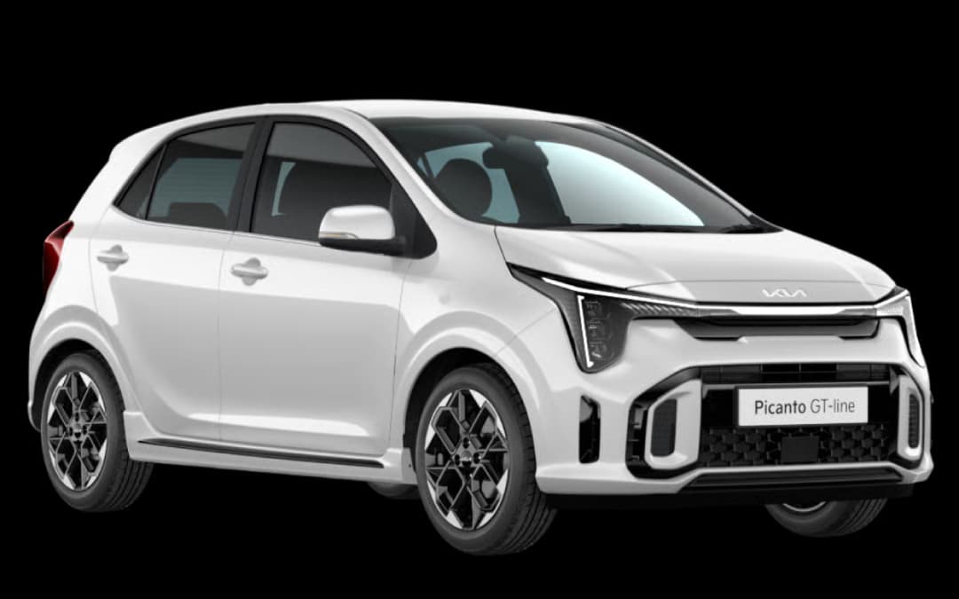 Happy customer with rental car